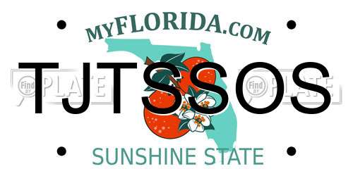TJTSSOS Florida License Plate