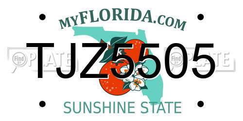 TJZ5505 Florida License Plate