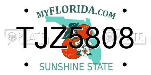 TJZ5808 Florida License Plate