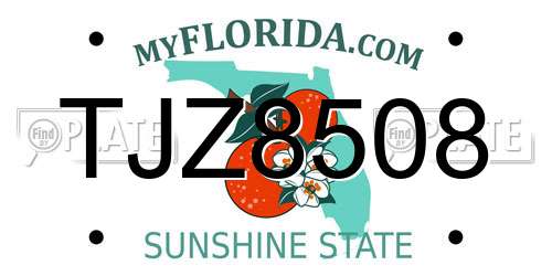 TJZ8508 Florida License Plate