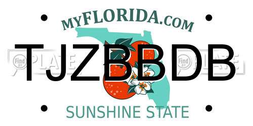 TJZBBDB Florida License Plate