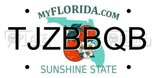 TJZBBQB Florida License Plate