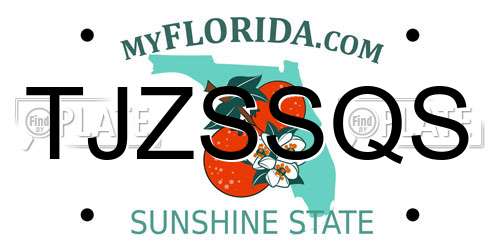 TJZSSQS Florida License Plate