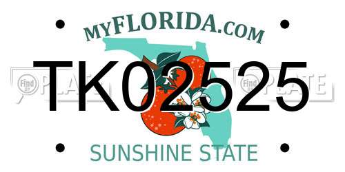 TK02525 Florida License Plate