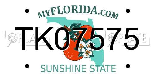 TK07575 Florida License Plate