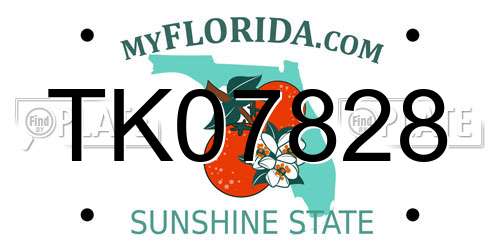 TK07828 Florida License Plate
