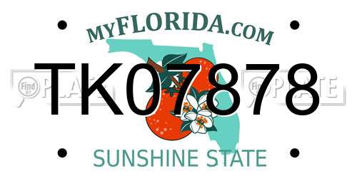 TK07878 Florida License Plate