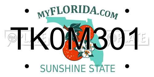 TK0M301 Florida License Plate