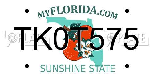 TK0T575 Florida License Plate