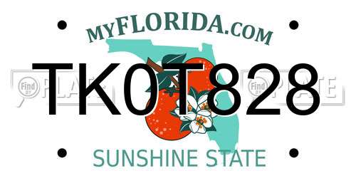 TK0T828 Florida License Plate