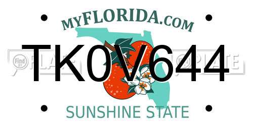 TK0V644 Florida License Plate