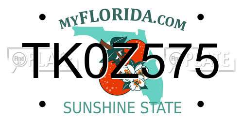 TK0Z575 Florida License Plate
