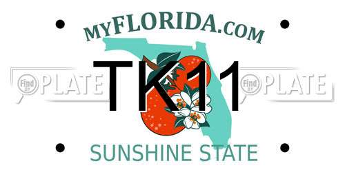 TK11 Florida License Plate