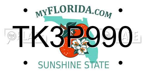 TK3P990 Florida License Plate