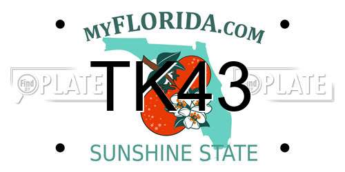 TK43 Florida License Plate