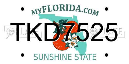 TKD7525 Florida License Plate