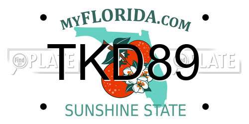 TKD89 Florida License Plate