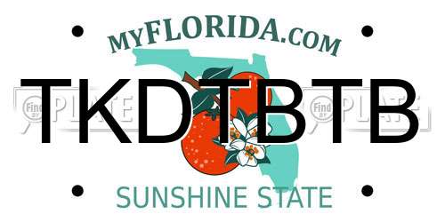 TKDTBTB Florida License Plate