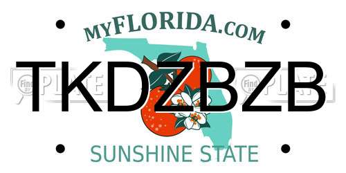 TKDZBZB Florida License Plate