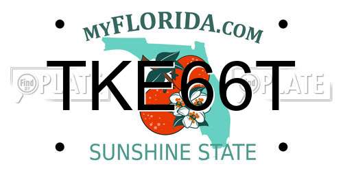 TKE66T Florida License Plate
