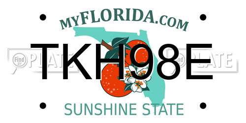 TKH98E Florida License Plate