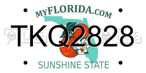 TKQ2828 Florida License Plate