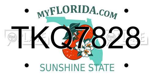 TKQ7828 Florida License Plate