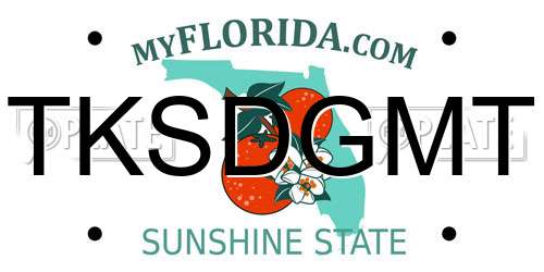 TKSDGMT Florida License Plate