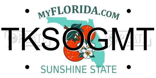 TKSOGMT Florida License Plate