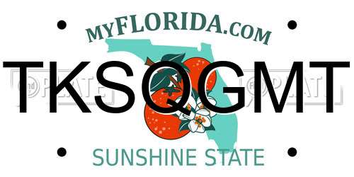 TKSQGMT Florida License Plate