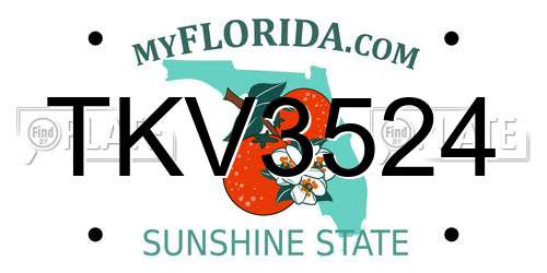 TKV3524 Florida License Plate