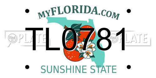 TL0781 Florida License Plate