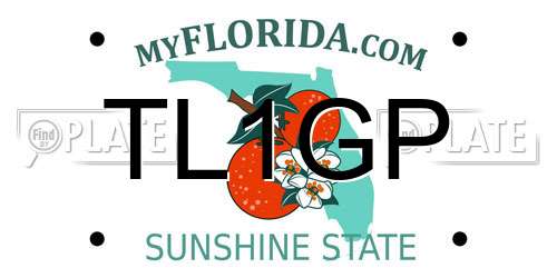 TL1GP Florida License Plate