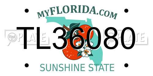 TL36080 Florida License Plate