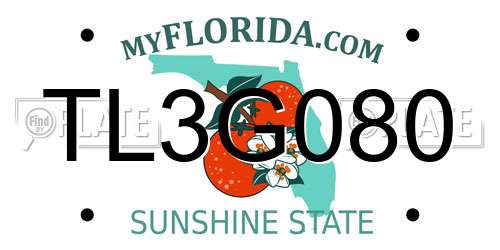 TL3G080 Florida License Plate