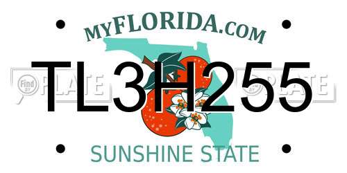 TL3H255 Florida License Plate