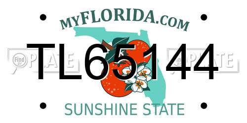 TL65144 Florida License Plate