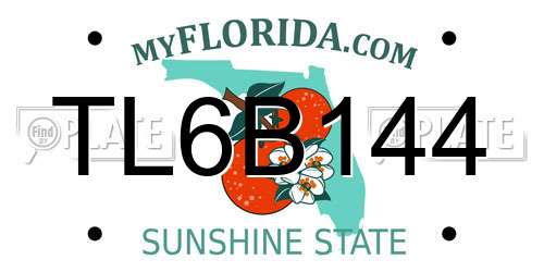TL6B144 Florida License Plate