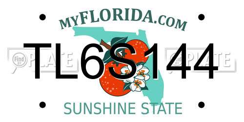 TL6S144 Florida License Plate