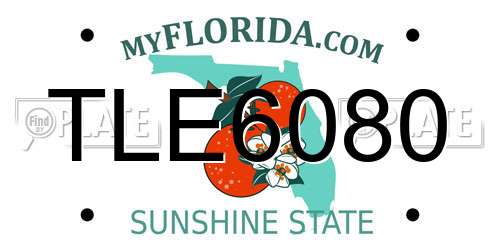 TLE6080 Florida License Plate
