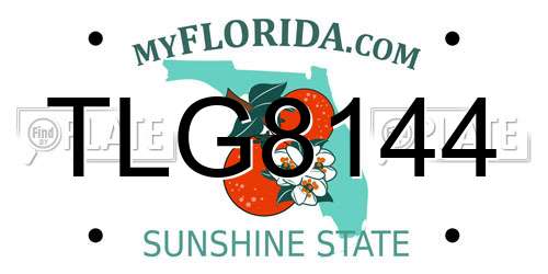 TLG8144 Florida License Plate