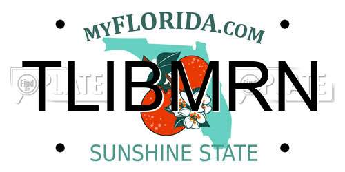 TLIBMRN Florida License Plate