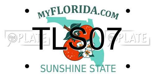TLS07 Florida License Plate
