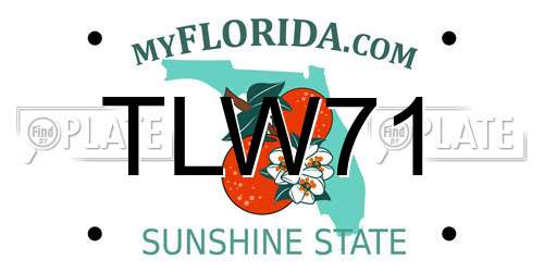 TLW71 Florida License Plate