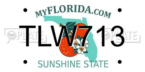 TLW713 Florida License Plate