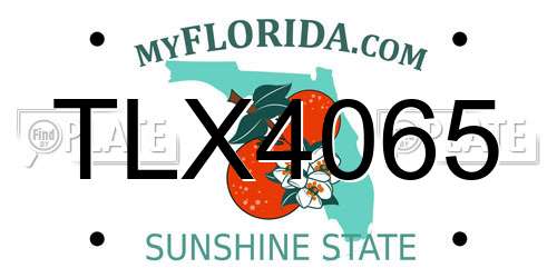 TLX4065 Florida License Plate
