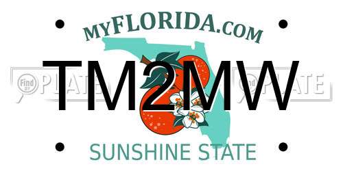 TM2MW Florida License Plate