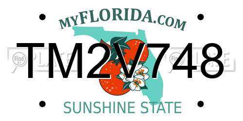 TM2V748 Florida License Plate