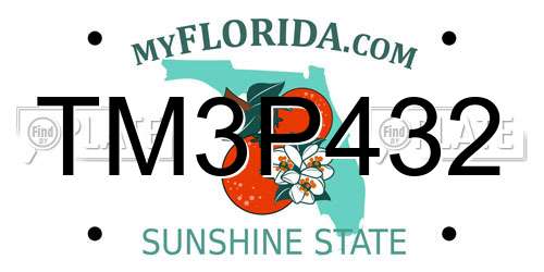 TM3P432 Florida License Plate