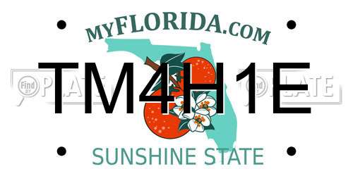 TM4H1E Florida License Plate